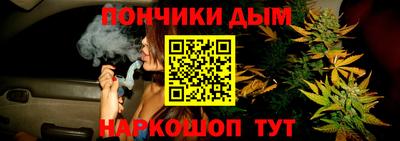 Альфа ПВП Обь