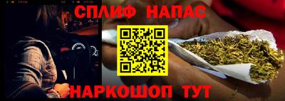 тгк Новодвинск