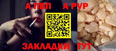 тгк Новодвинск